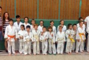 Erfolgreiche Judo-Sommerprüfung 2018 für Nachwuchskämpfer