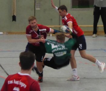 HoltmannFaller