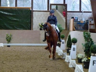 Dressurreiter (Copy)