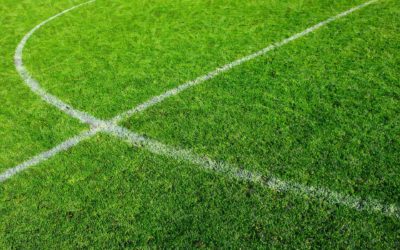 fussball-rasen
