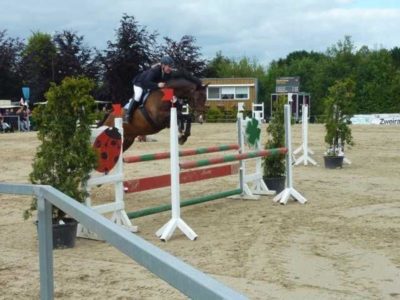 Fritzsuemmermann A (Copy)