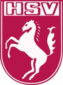 HSV1 (Copy)