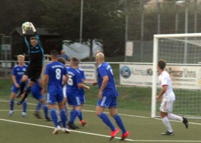 Beinsenhaelt1 (Copy)