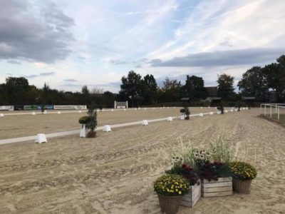 ReitanlageFroend1 (Copy)