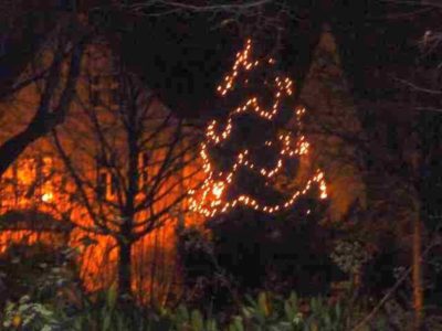 Wehnachtsbaum1 (Copy)