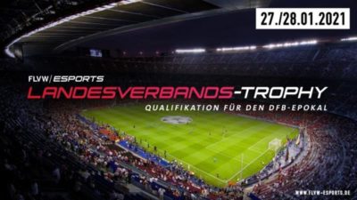 flvwesports (Copy)