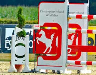 PferdeVerband1 (Copy)