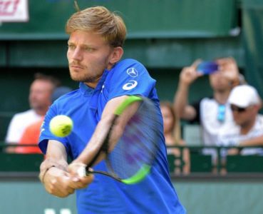 Goffin David1 (Copy)