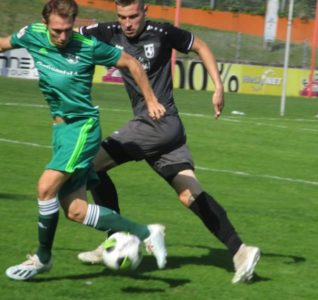 Hahneam Ball1 (Copy)