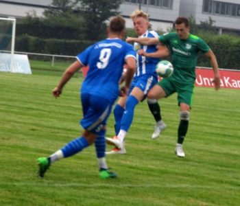 BruenningHSC2 (Copy)