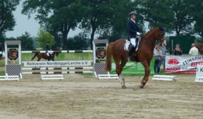 ReitDressur4 (Copy)