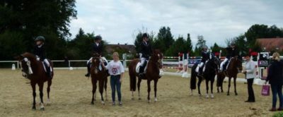 Reiterwettbwerb1 (Copy)