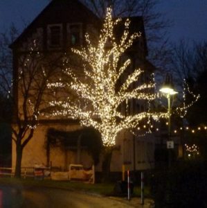 Weihnachtsbaum