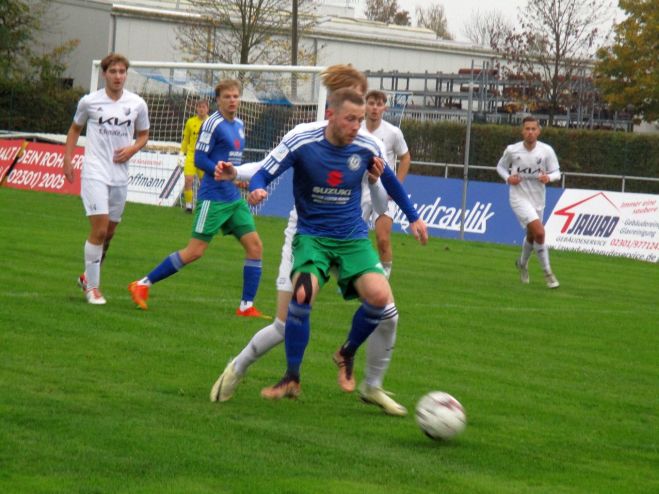 Distel -Wonneberger1