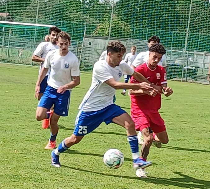 Gourari HSC3