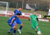 HSC will Disteln piesacken